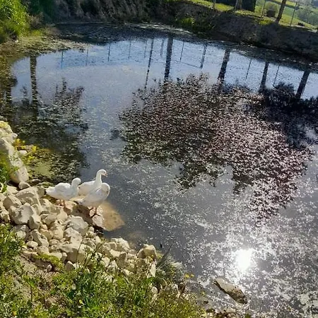 La Casa Della Pieve Vecchia *